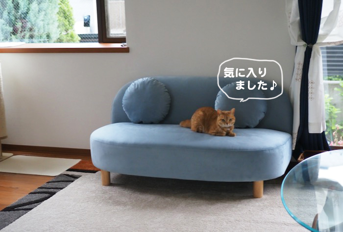 1日夕ブログ３