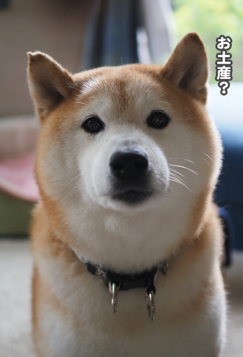26日夜ブログ３