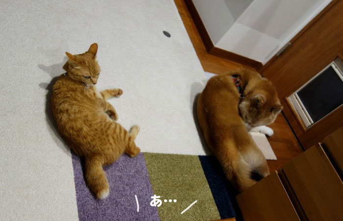24日夕ブログ３