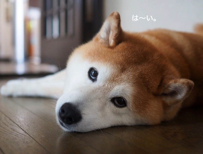 8日ブログ３