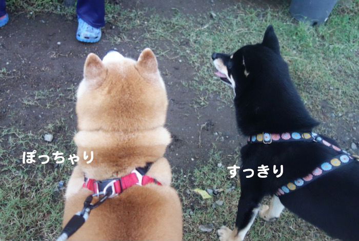 20日ブログ１