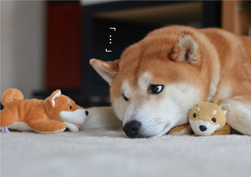 30日ブログ5.jpg