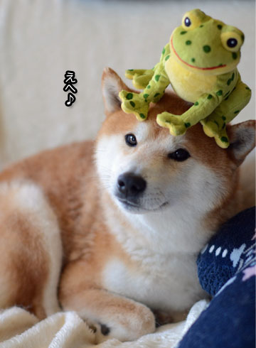 24日ブログ6.jpg