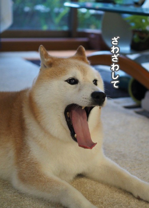 16日ブログ２