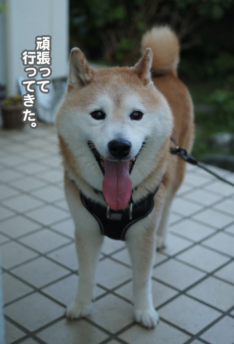 20日夕ブログ６