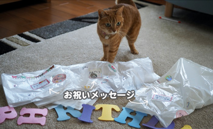 5日夕ブログ４