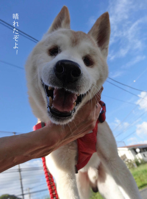 31日ブログ2
