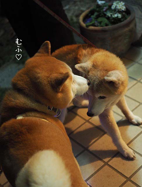 28日ブログ8