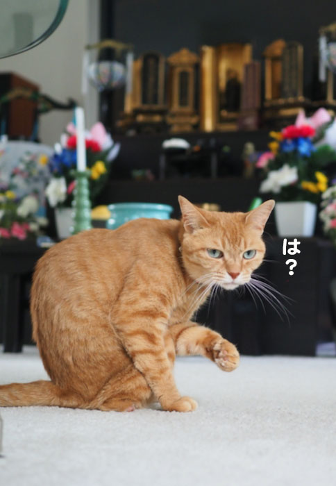14日夕ブログ６