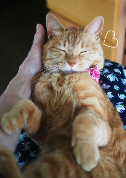 27日夕ブログ３
