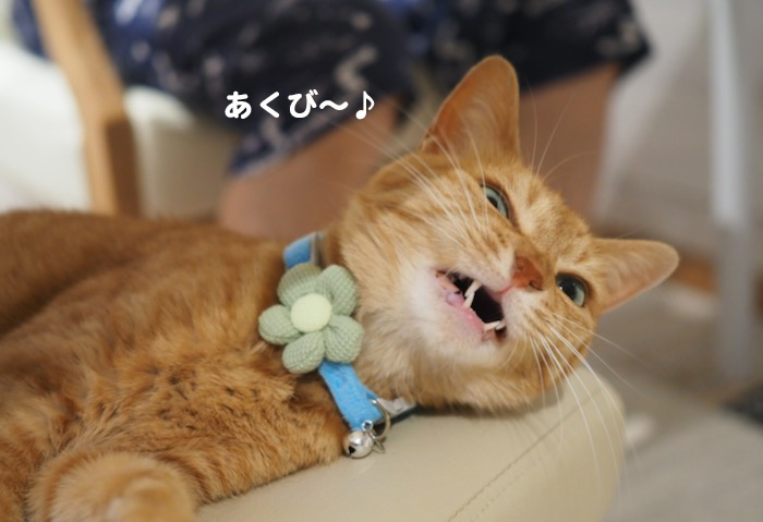 6日夕ブログ５-(1)