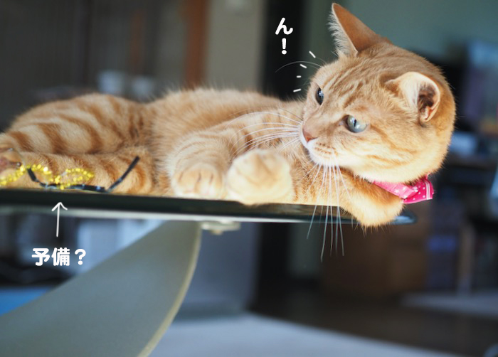 4日夕ブログ９