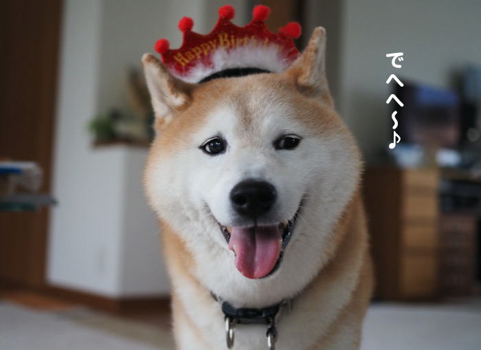 25日夕ブログ３