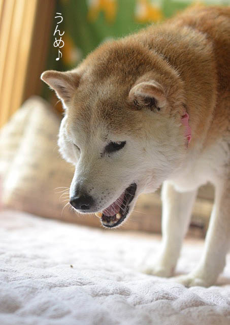 31日ブログ5