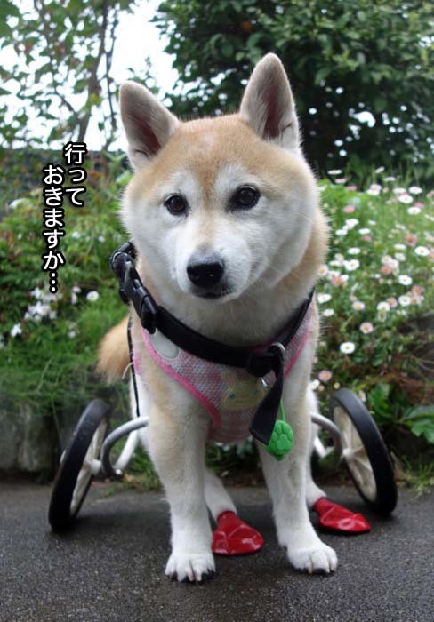 17日午後ブログ２