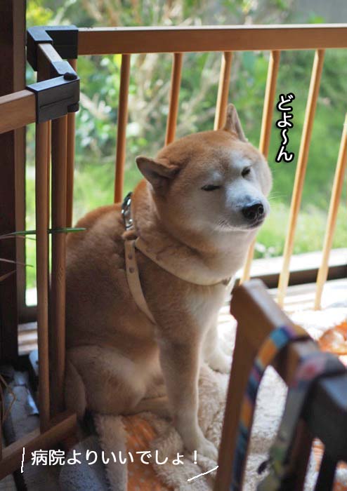 30日ブログ６