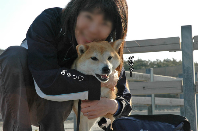 24日ブログ3