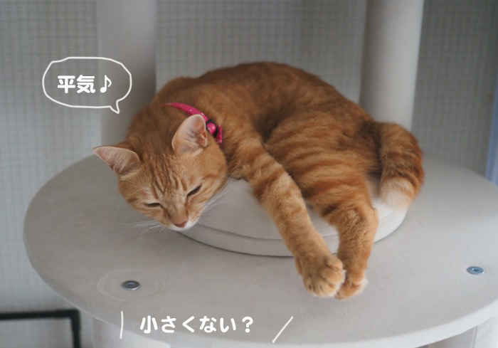 5日ブログ２