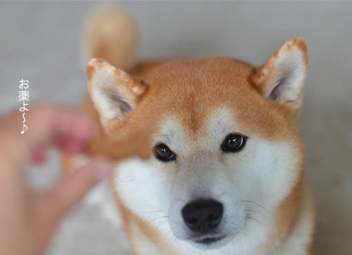 30日ブログ5.jpg
