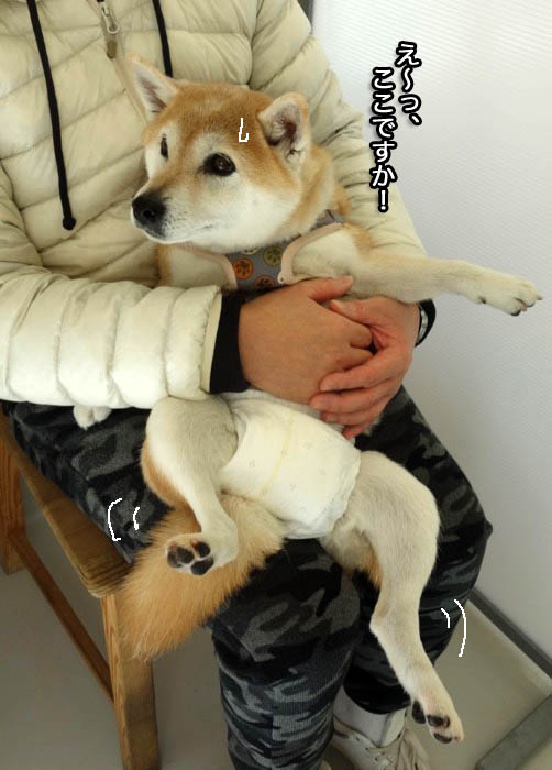 7日ブログ２