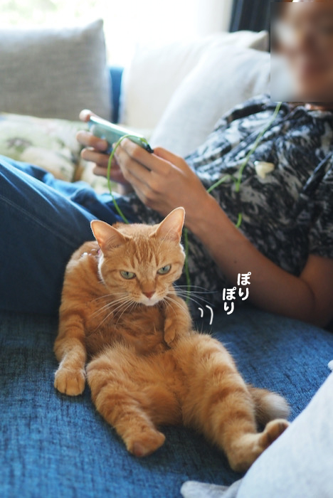 22日夕ブログ１