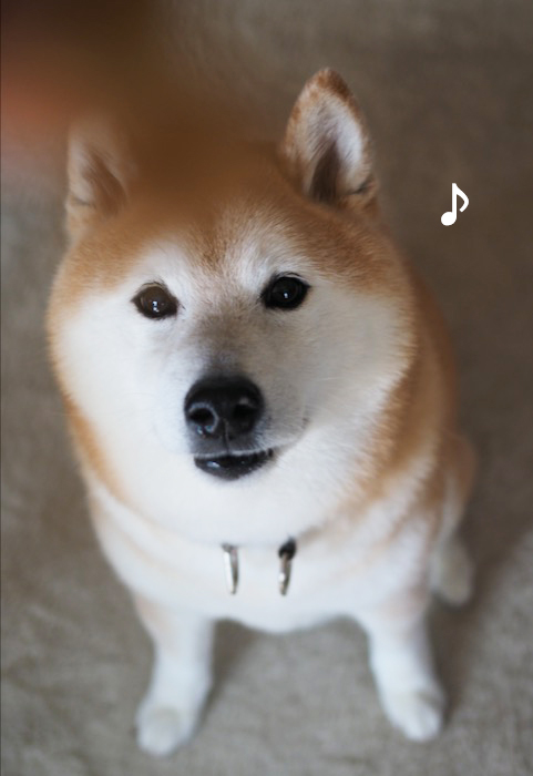 4日ブログ３