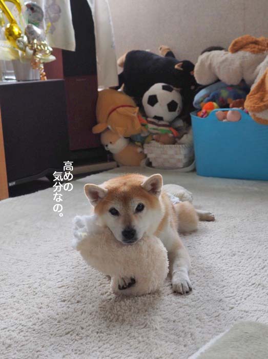 15日ブログ２