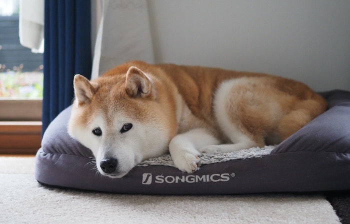 1日ブログ２