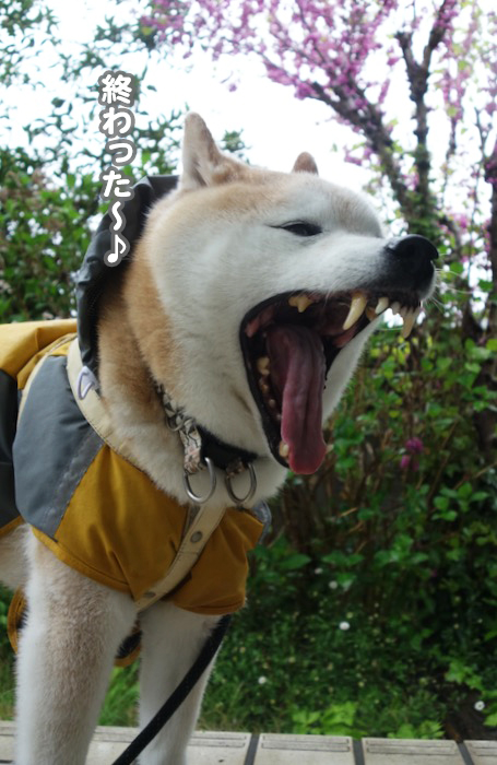 14日夕ブログ５