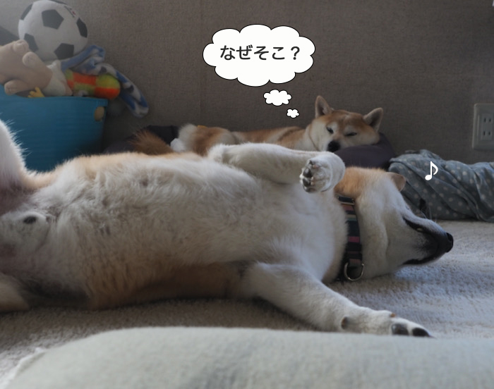 7日ブログ１