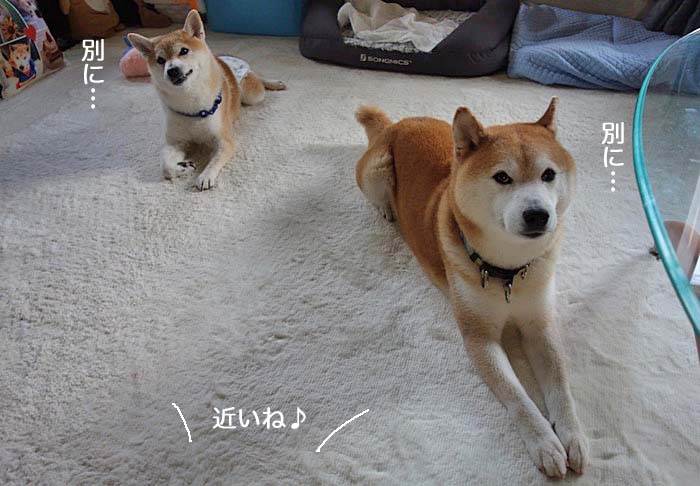9日ブログ２