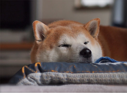 19日ブログ8.jpg