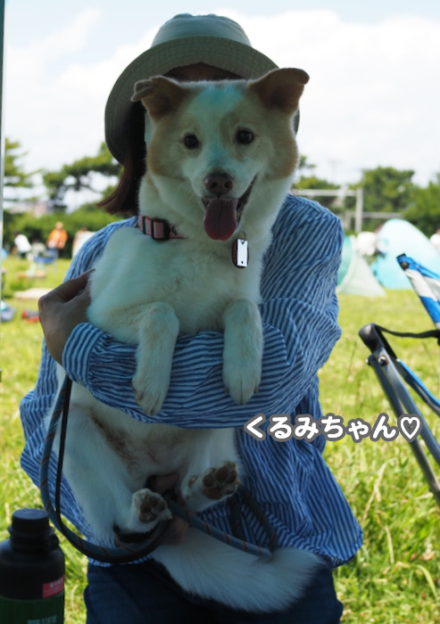 13日夕ブログ１０