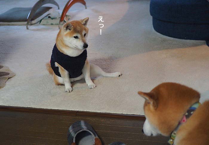 2日夜ブログ５