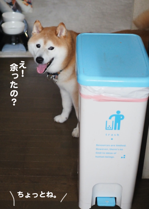 18日夜ブログ３