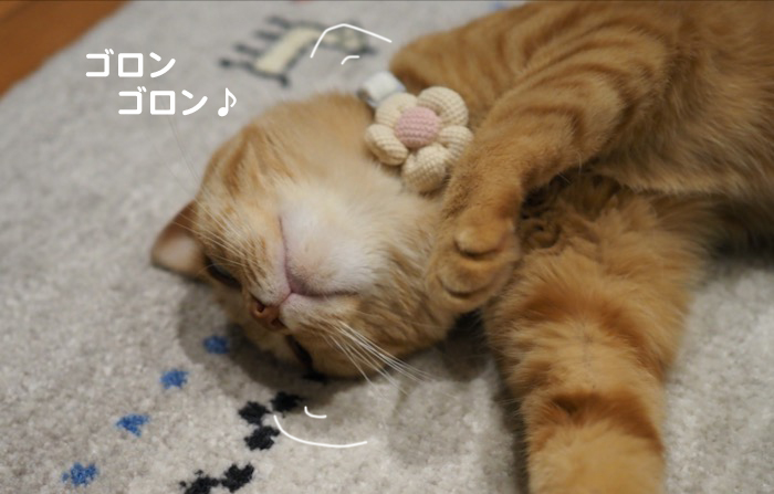 23日ブログ１
