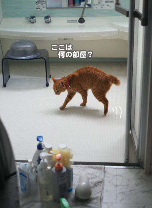 20日ブログ１