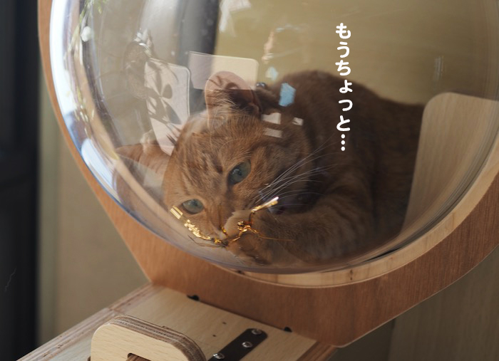 5日夕ブログ５