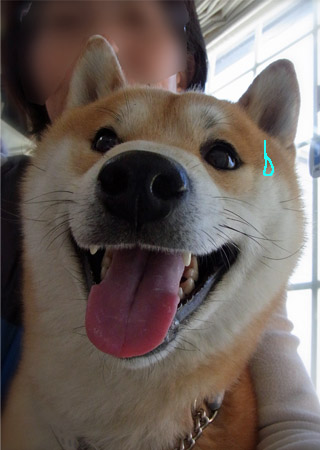 16日ブログ２.jpg