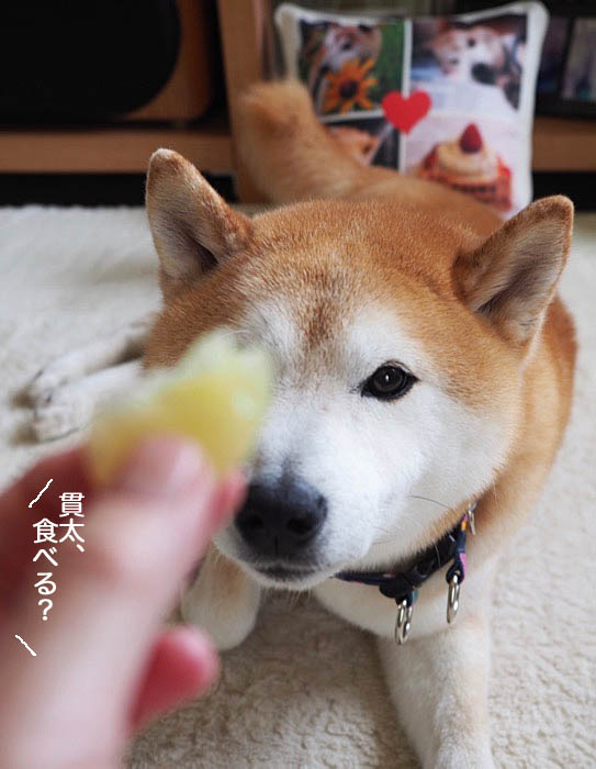 14日ブログ１０