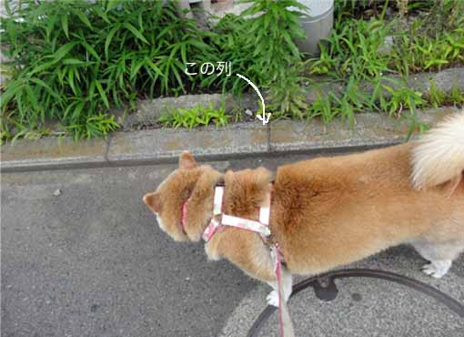 4日ブログ２.jpg