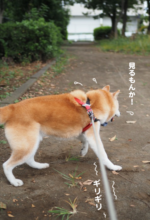 21日ブログ4