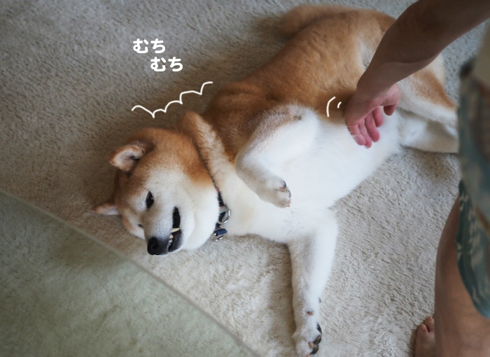 7日ブログ３