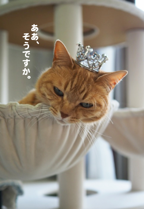 16日ブログ６