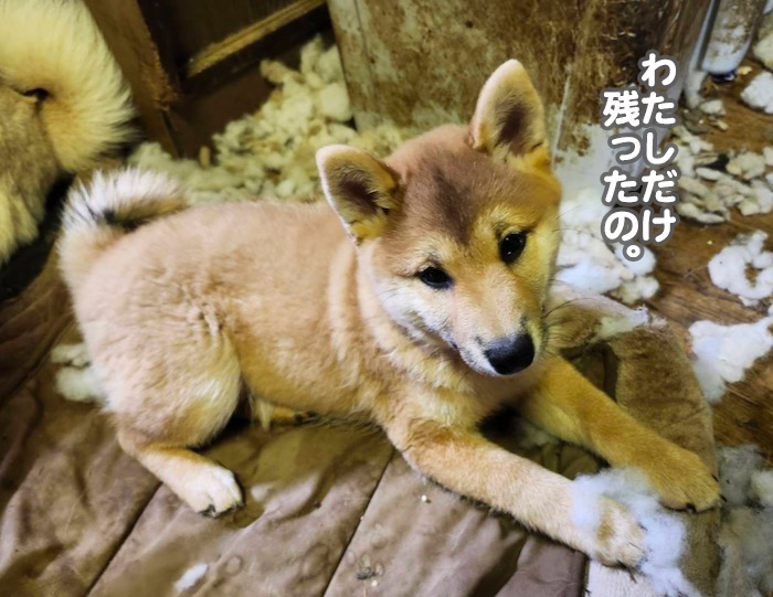 30日夕ブログ２