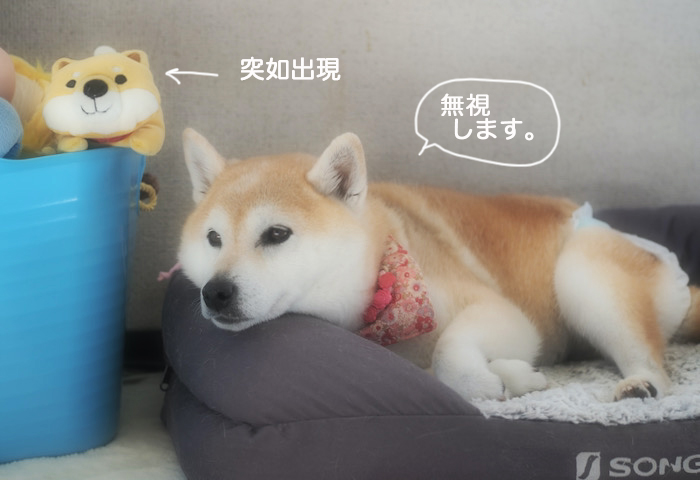 7日ブログ４
