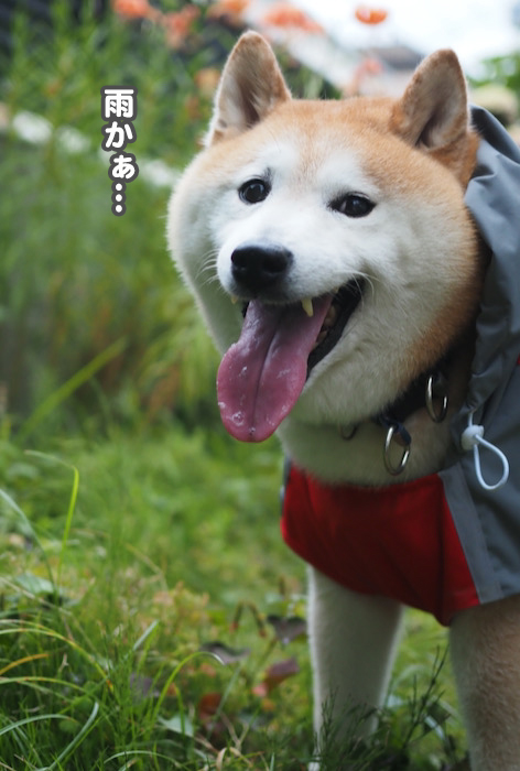 19日ブログ３