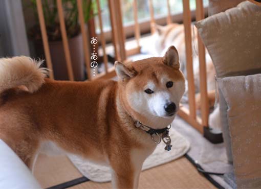 25日ブログ4.jpg