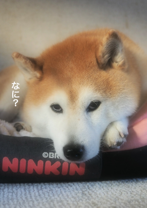 18日ブログ２