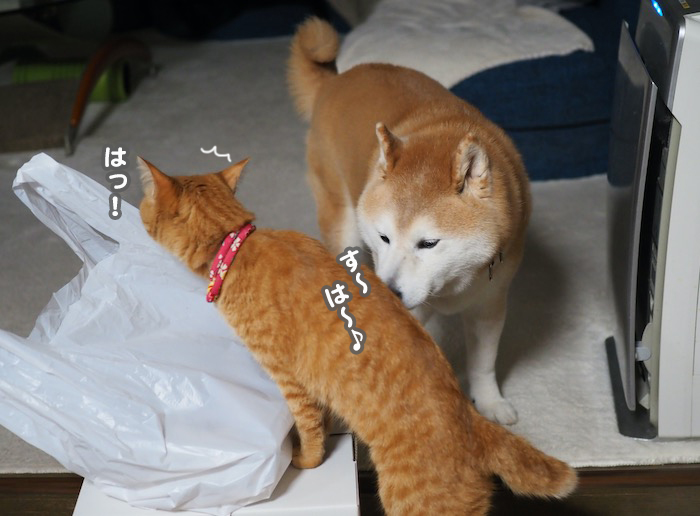 4日ブログ２